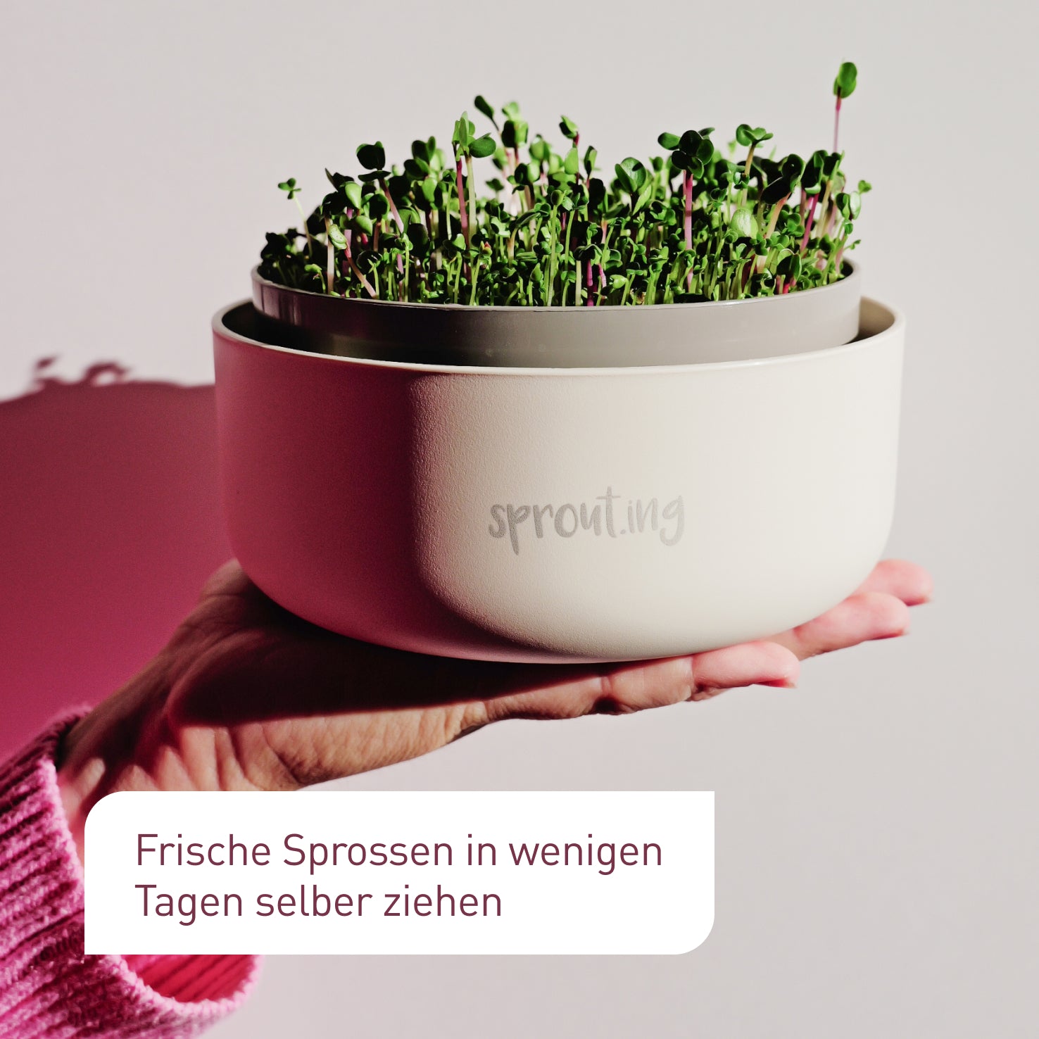 plantura-bio-sprossen-anzucht-set-starter image 5