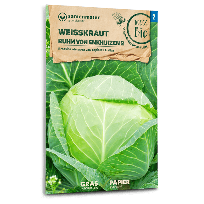 plantura-bio-wei-kohl-ruhm-von-enkhuizen-2-bio-saatgut-f-r-feste-k-pfe image 1