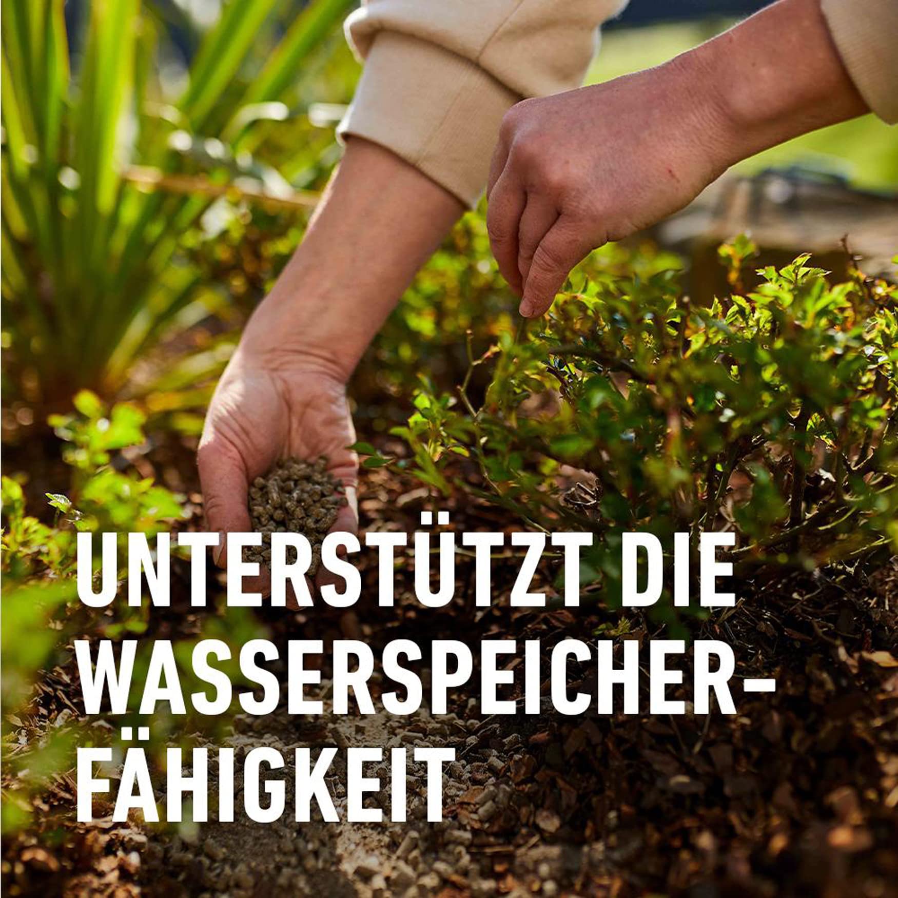 compo-bio-rosen-langzeit-d-nger-mit-schafwolle-750-g-5-monate-wirkung image 4