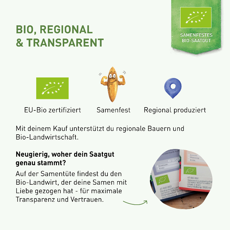 plantura-bio-ochsenauge-wildblume-bio-saatgut image 4