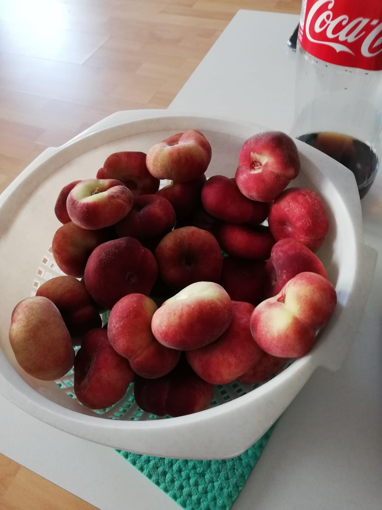 Hilft zuverlässig an Rose und Gurke