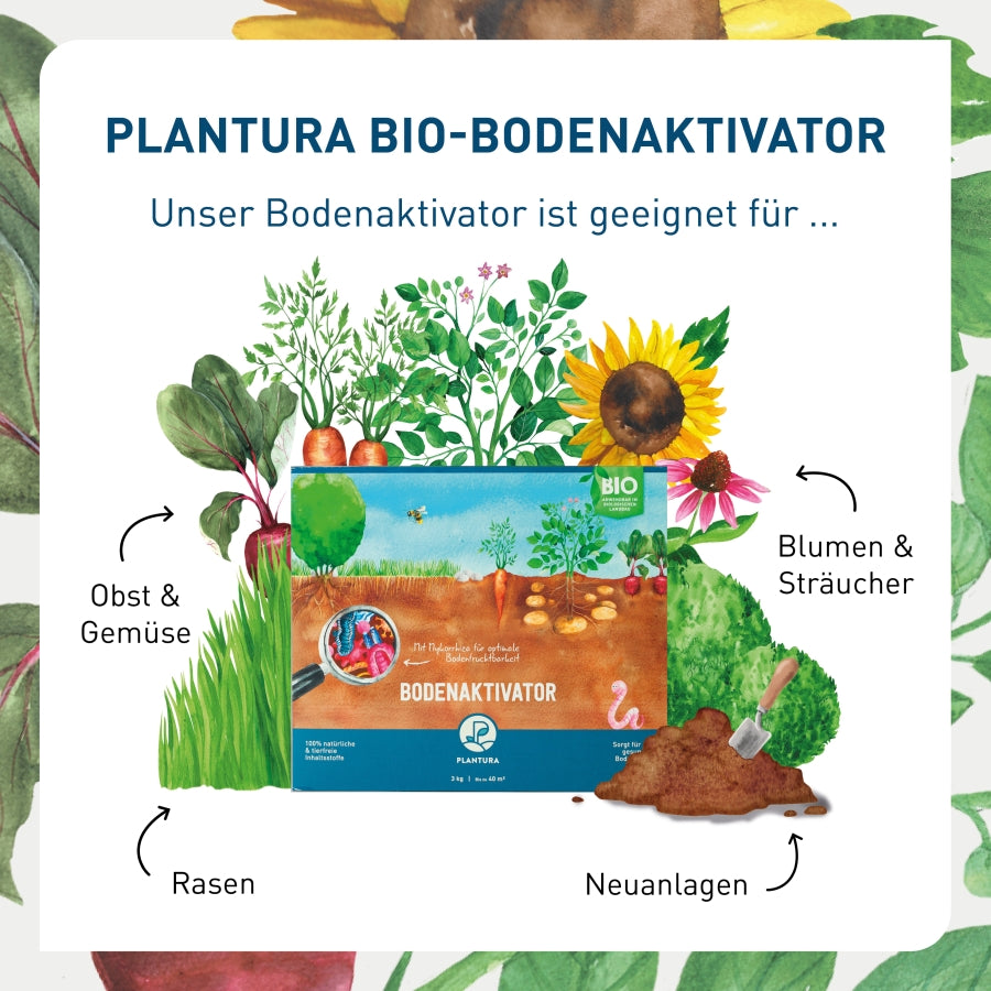 plantura-bio-bodenaktivator-3-kg-box-organischer-bodend-nger-npk-4-1-2-8 image 3