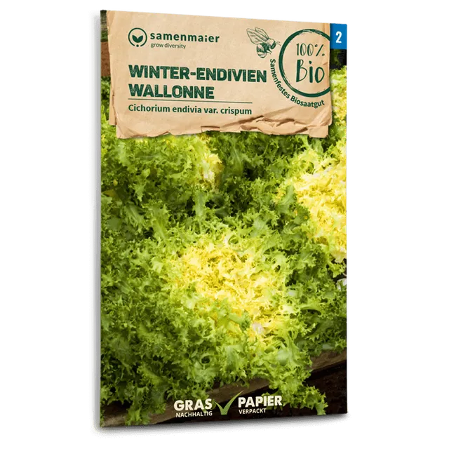 plantura-bio-winter-endivien-wallonne-bio-saatgut image 1