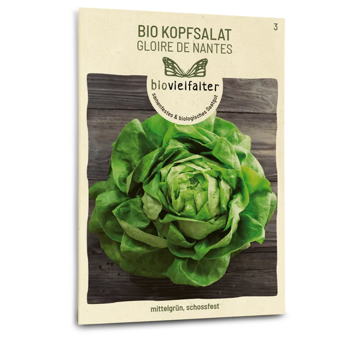 plantura-bio-kopfsalat-gloire-de-nantes-bio-saatgut image 1