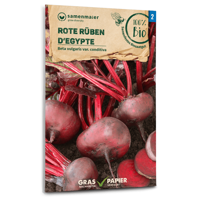 plantura-bio-rote-beete-d-egypte-bio-saatgut-f-r-plattrunde-knollen image 1