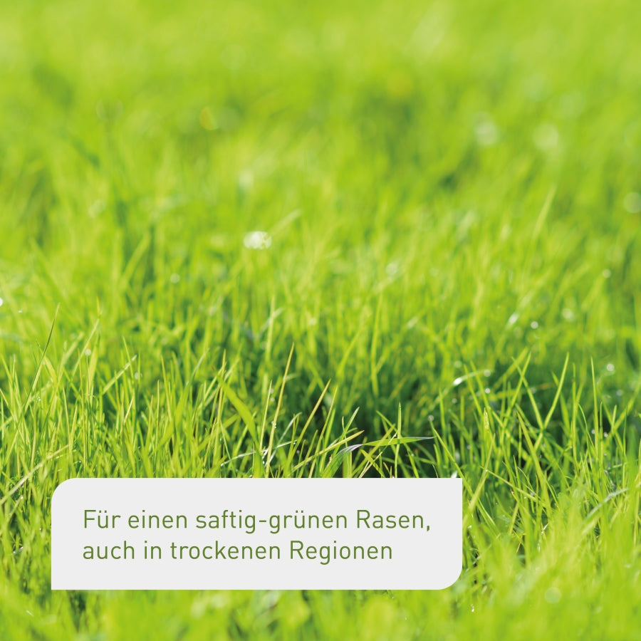 plantura-premium-trockenrasen-2-kg-rasensamen-trockenheitsresistent image 2