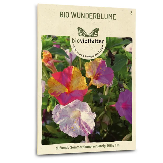 plantura-bio-wunderblume-saatgut-mirabilis-jalapa image 1