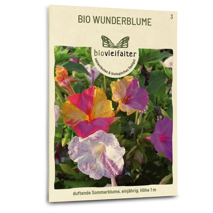 plantura-bio-wunderblume-saatgut-mirabilis-jalapa image 1