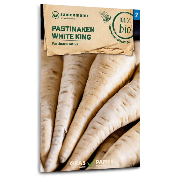 plantura-bio-pastinaken-white-king-bio-gem-sesaatgut image 1