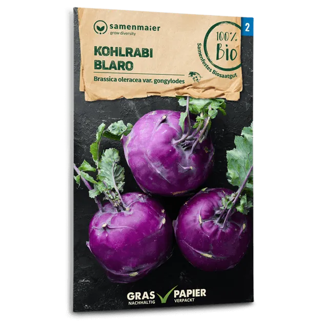 plantura-bio-kohlrabi-blaro-bio-saatgut image 1