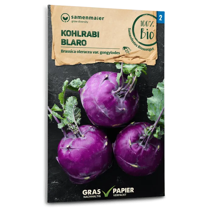 plantura-bio-kohlrabi-blaro-bio-saatgut image 1