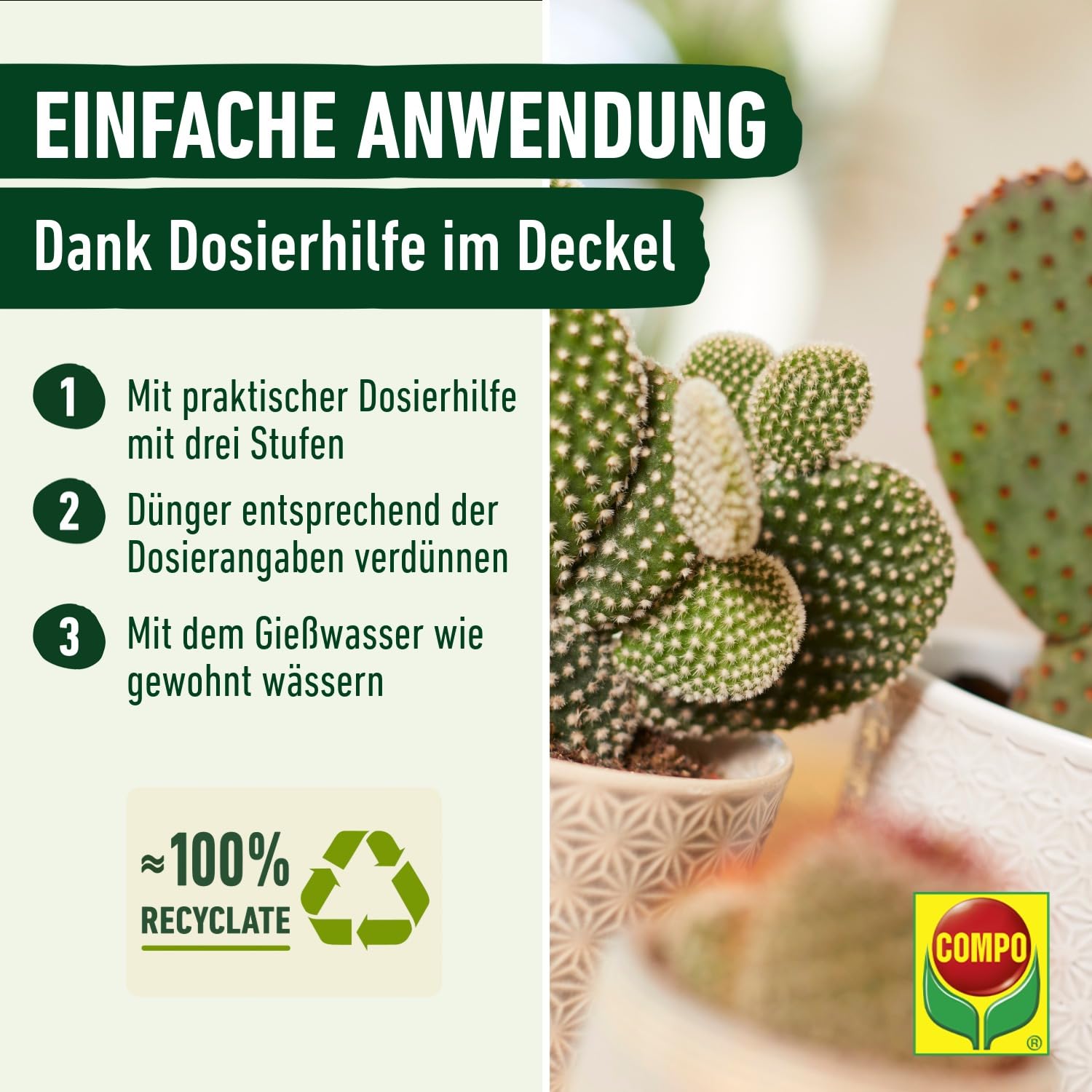 compo-kakteen-und-sukkulentend-nger-250-ml-fl-ssigd-nger image 4