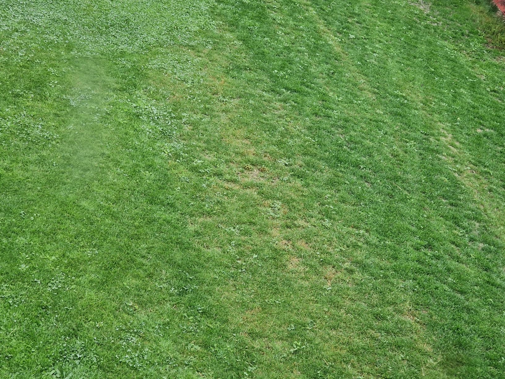 Bei Hitze verbrannt