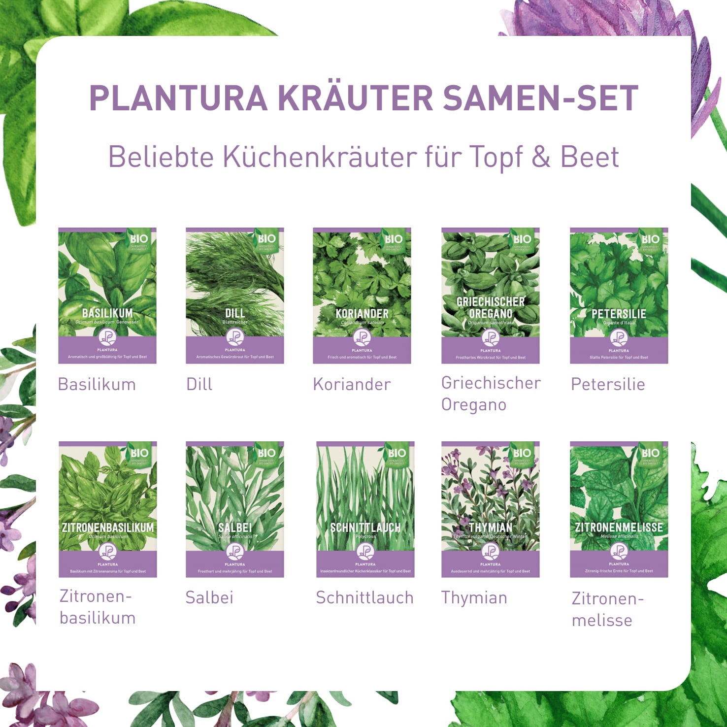 plantura-bio-kr-uter-samen-set-mit-10-sorten-bio-saatgut image 3