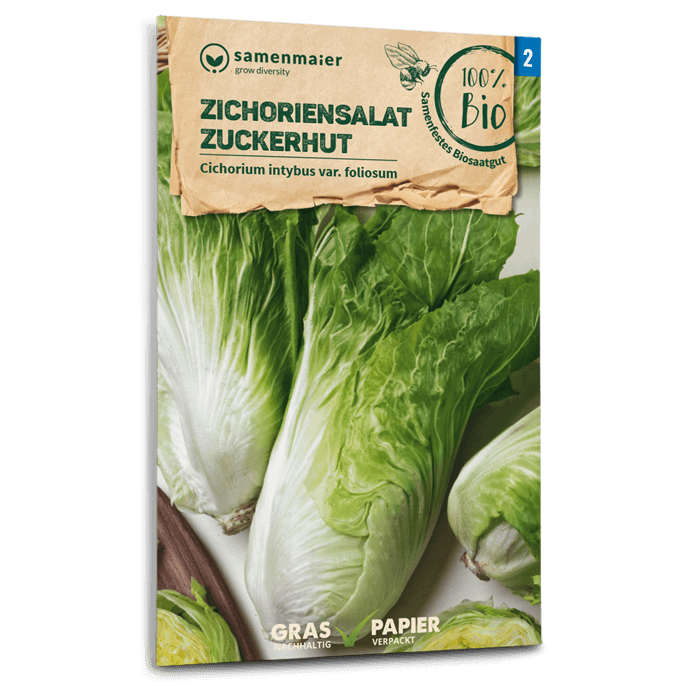 plantura-bio-zichoriensalat-zuckerhut-bio-saatgut image 1