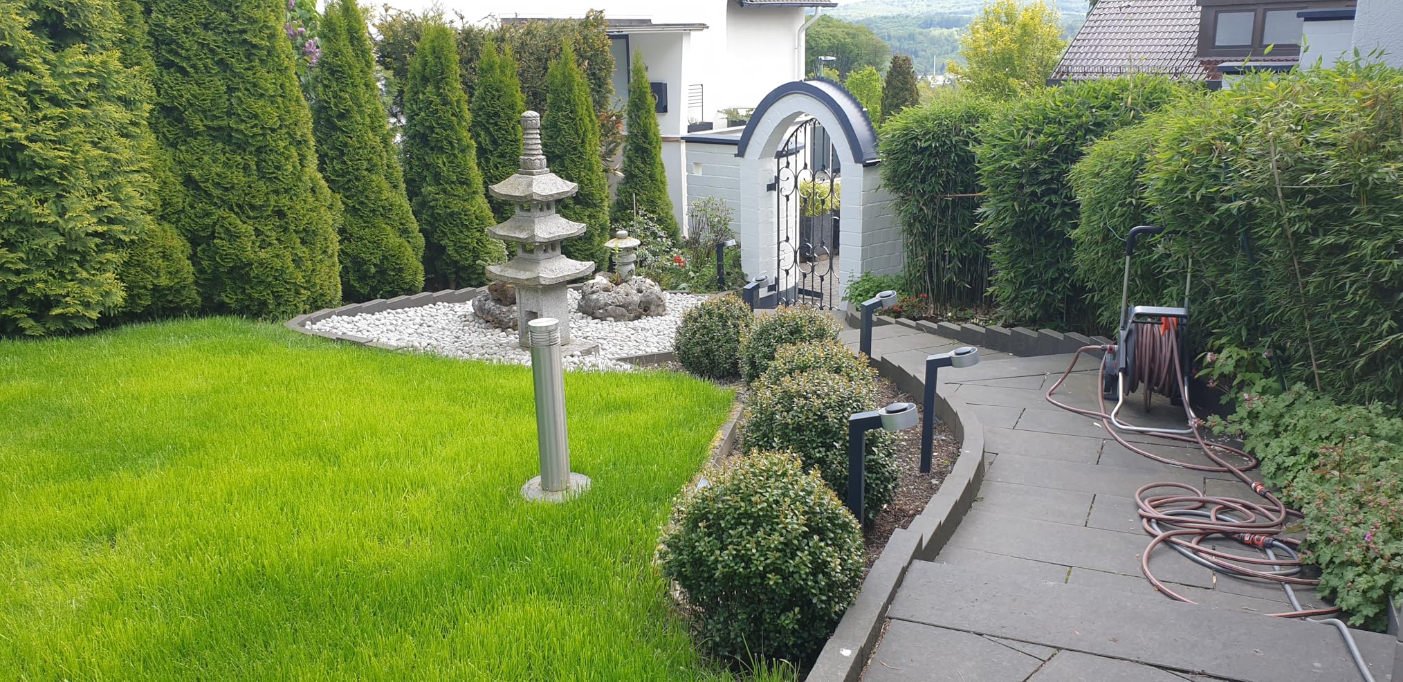 Hecke wieder sattgrün