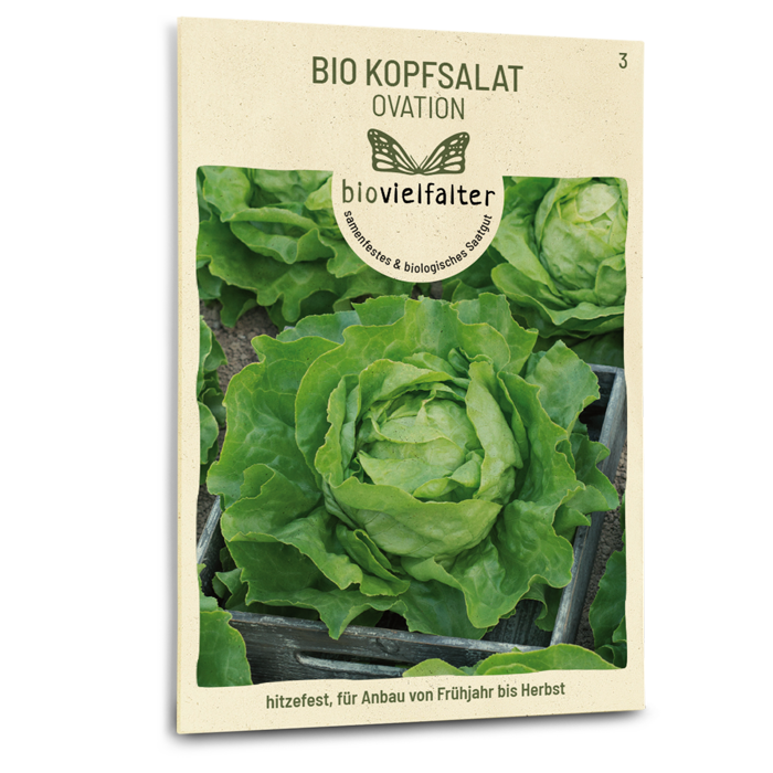 plantura-bio-kopfsalat-ovation-bio-saatgut-butterkopfsalat image 1