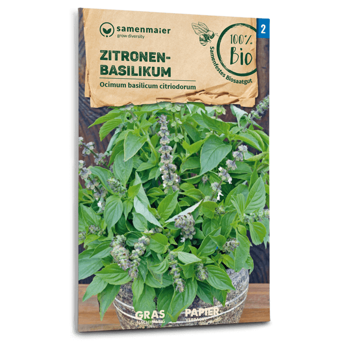 plantura-bio-zitronenbasilikum-bio-saatgut-kr-uter image 1