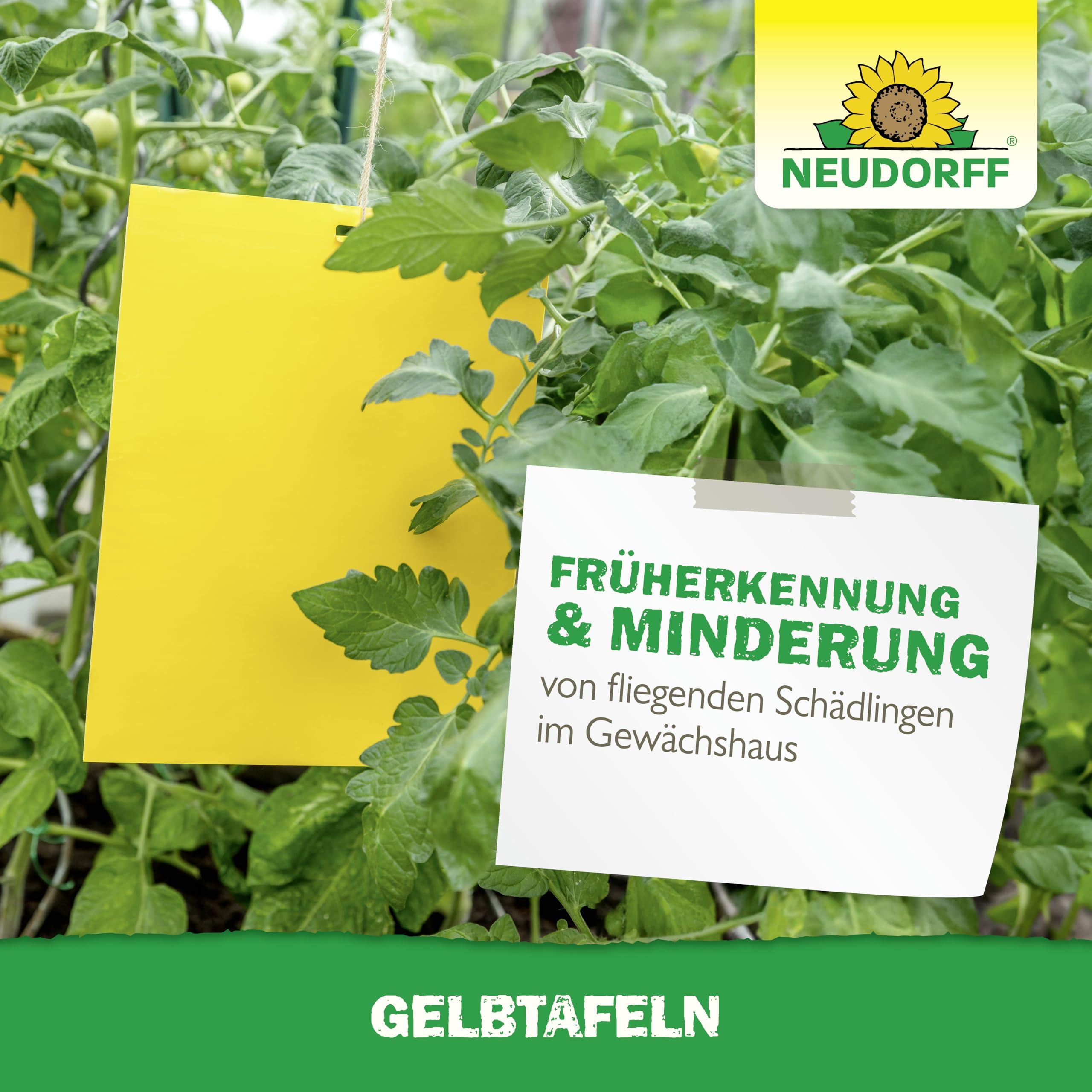 neudorff-gelbtafeln-gro-formatig-5-st-ck-gegen-trauerm-cken-und-wei-e-fliegen image 7