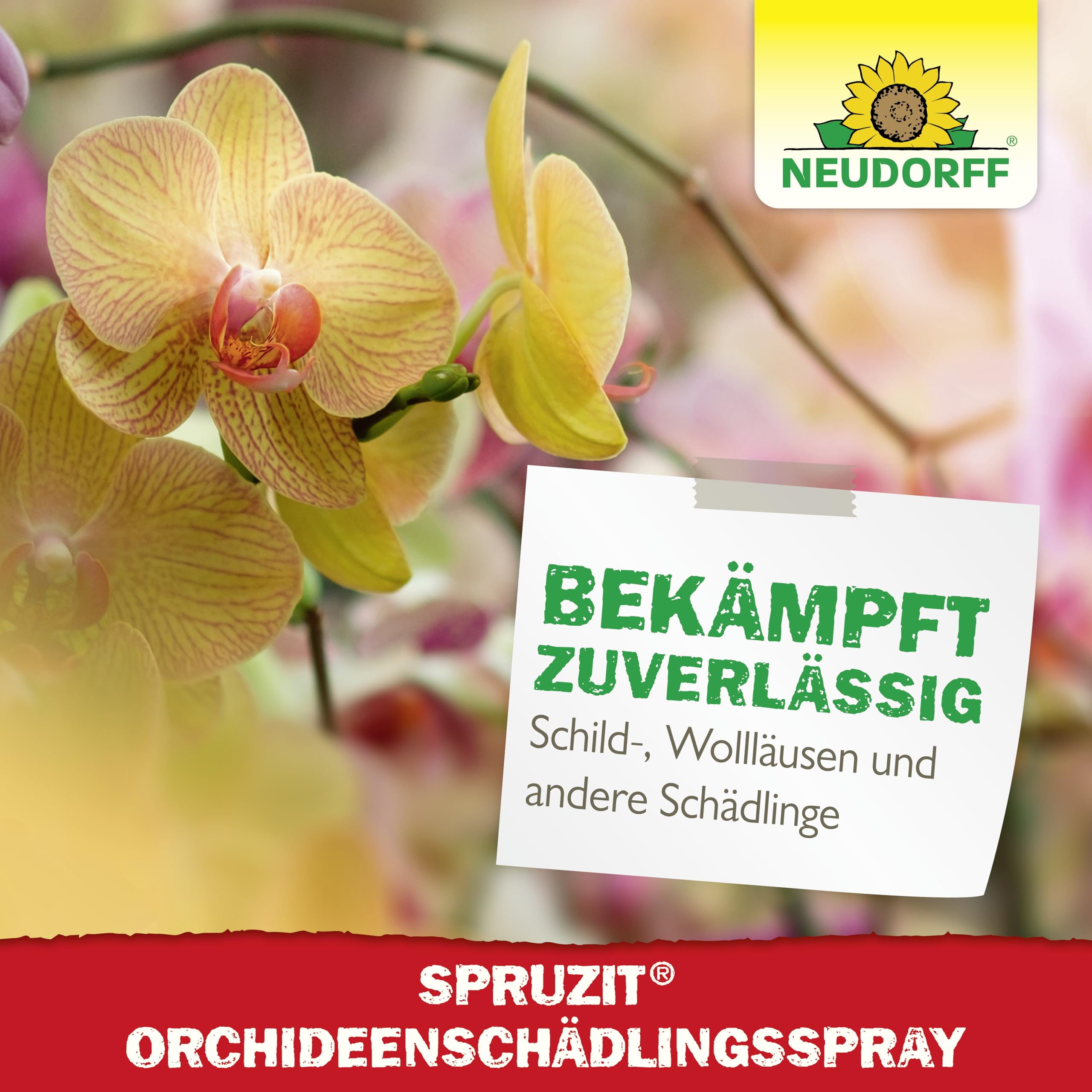 neudorff-spruzit-orchideensch-dlingsspray-300-ml-anwendungsfertig image 6