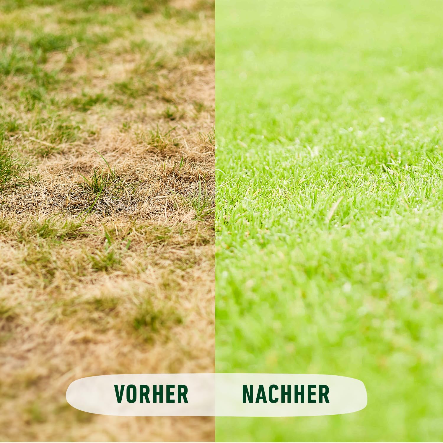 compo-bio-rasend-nger-20-kg-f-r-500-m-naturd-nger-mit-langzeitwirkung image 7