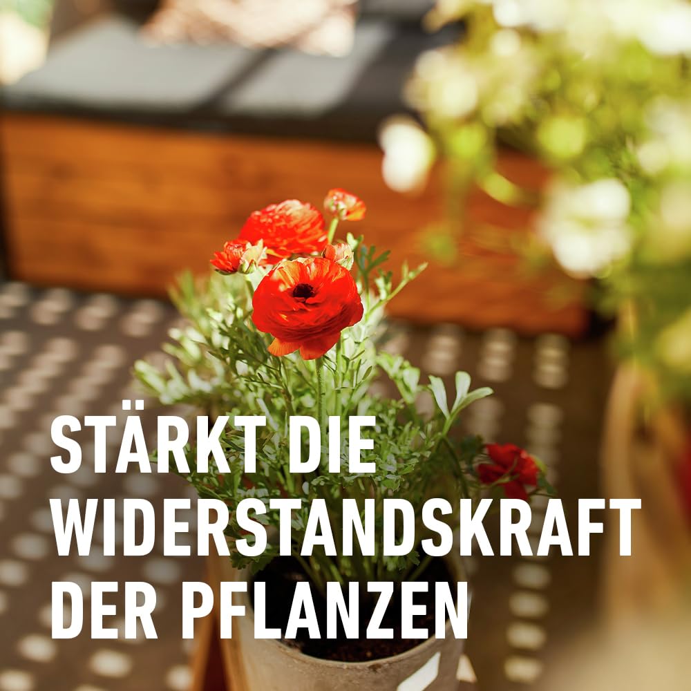 compo-balkon-und-k-belpflanzend-nger-fl-ssigd-nger-1-3-l image 6