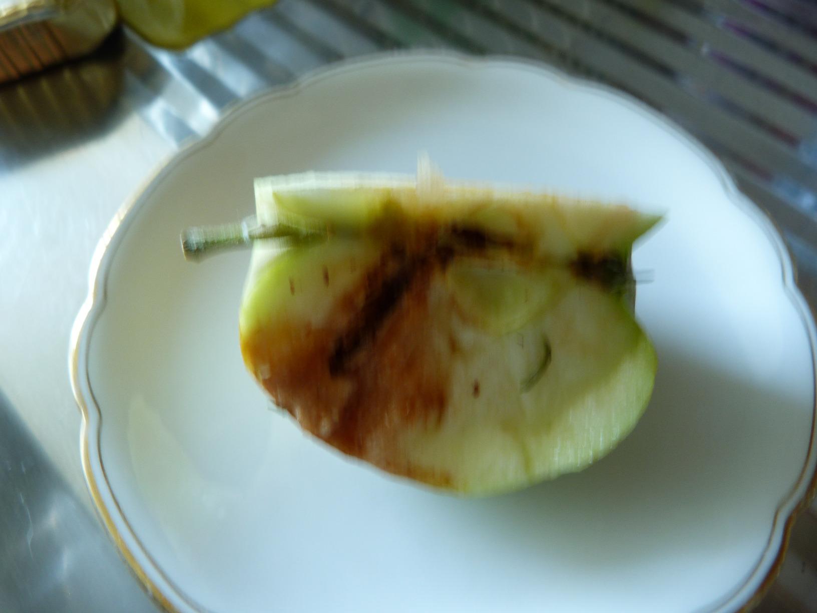 Fängt zuverlässig Apfelwickler