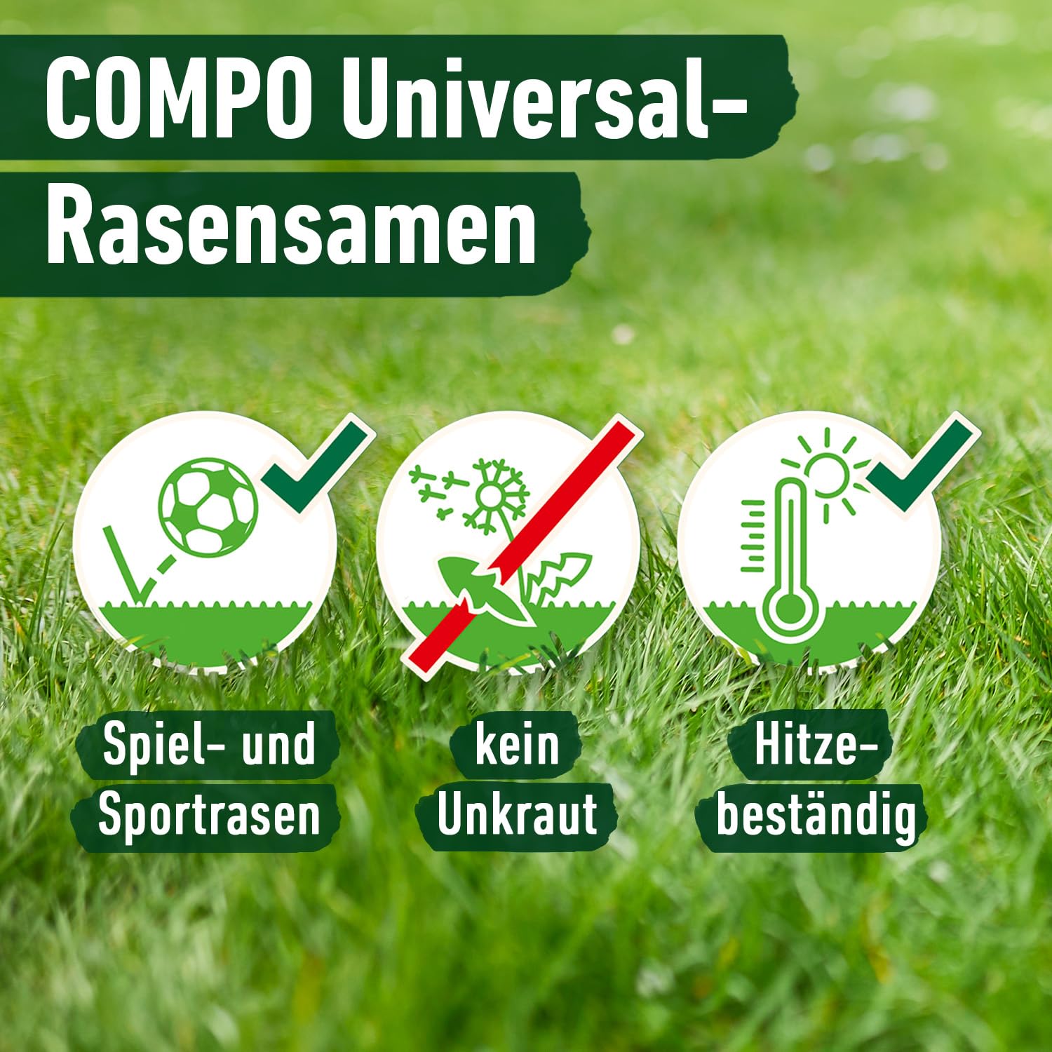 compo-universal-rasensamen-schnellkeimend-5-kg-f-r-250-m-spiel-und-sportrasen image 4
