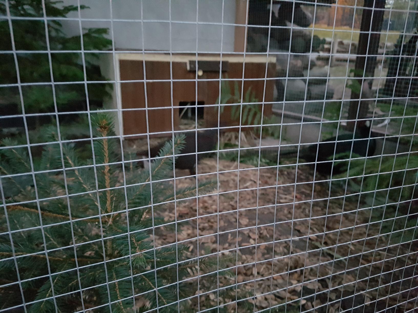 Sehr stabil und gerade