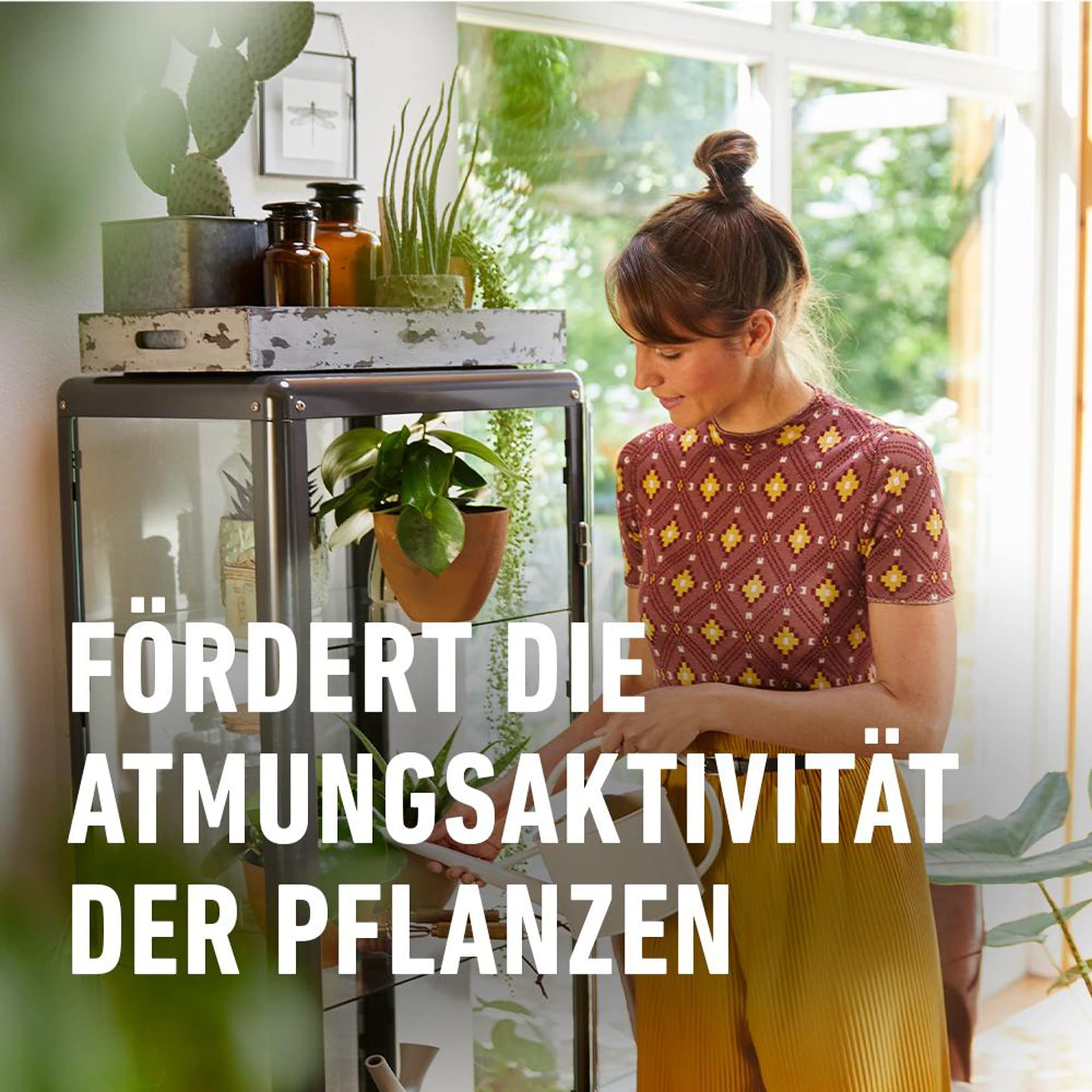 compo-blattglanz-f-r-gr-npflanzen-300-ml-spr-hflasche image 4
