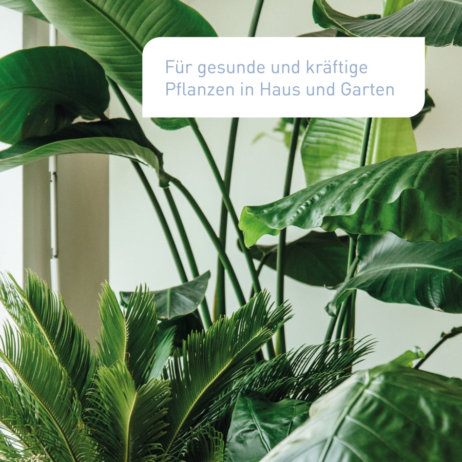 plantura-bio-universalerde-palette-60-x-40-l-torffrei image 2
