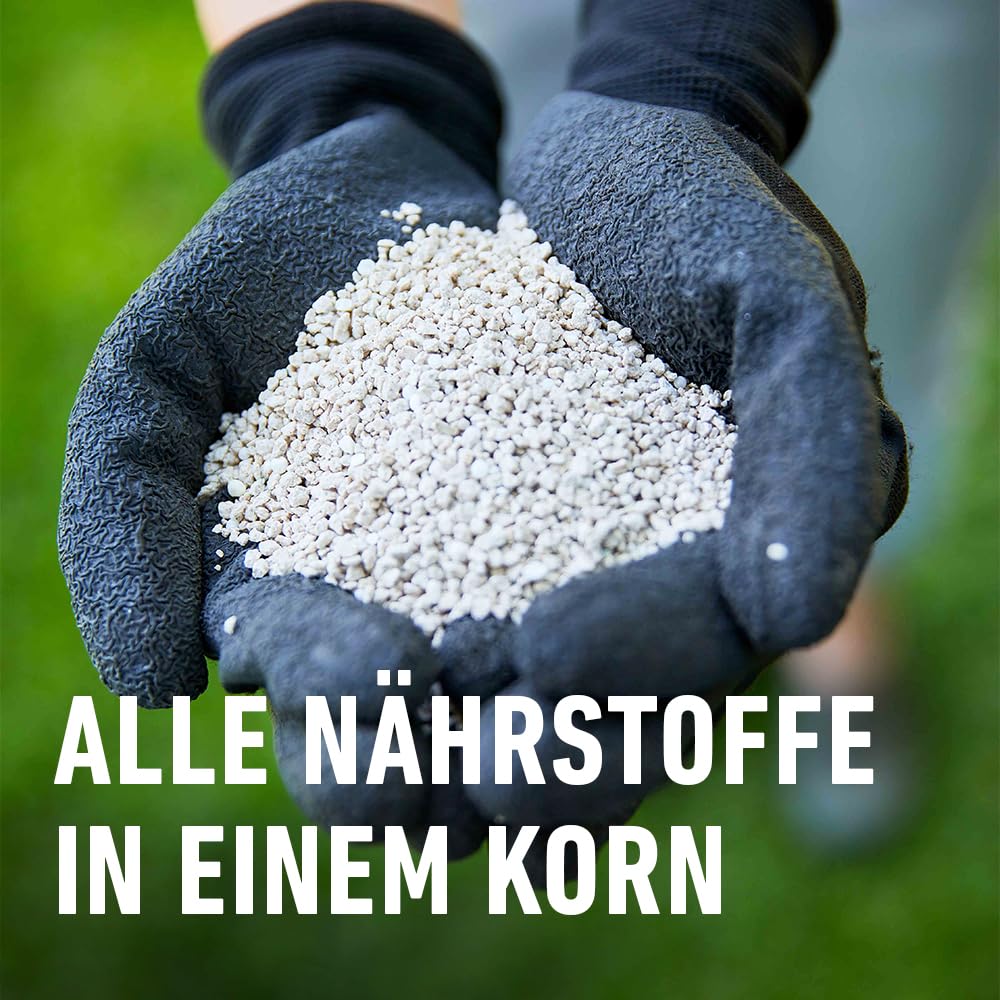 compo-rasen-langzeitd-nger-3-monate-20-kg-f-r-800-m image 5