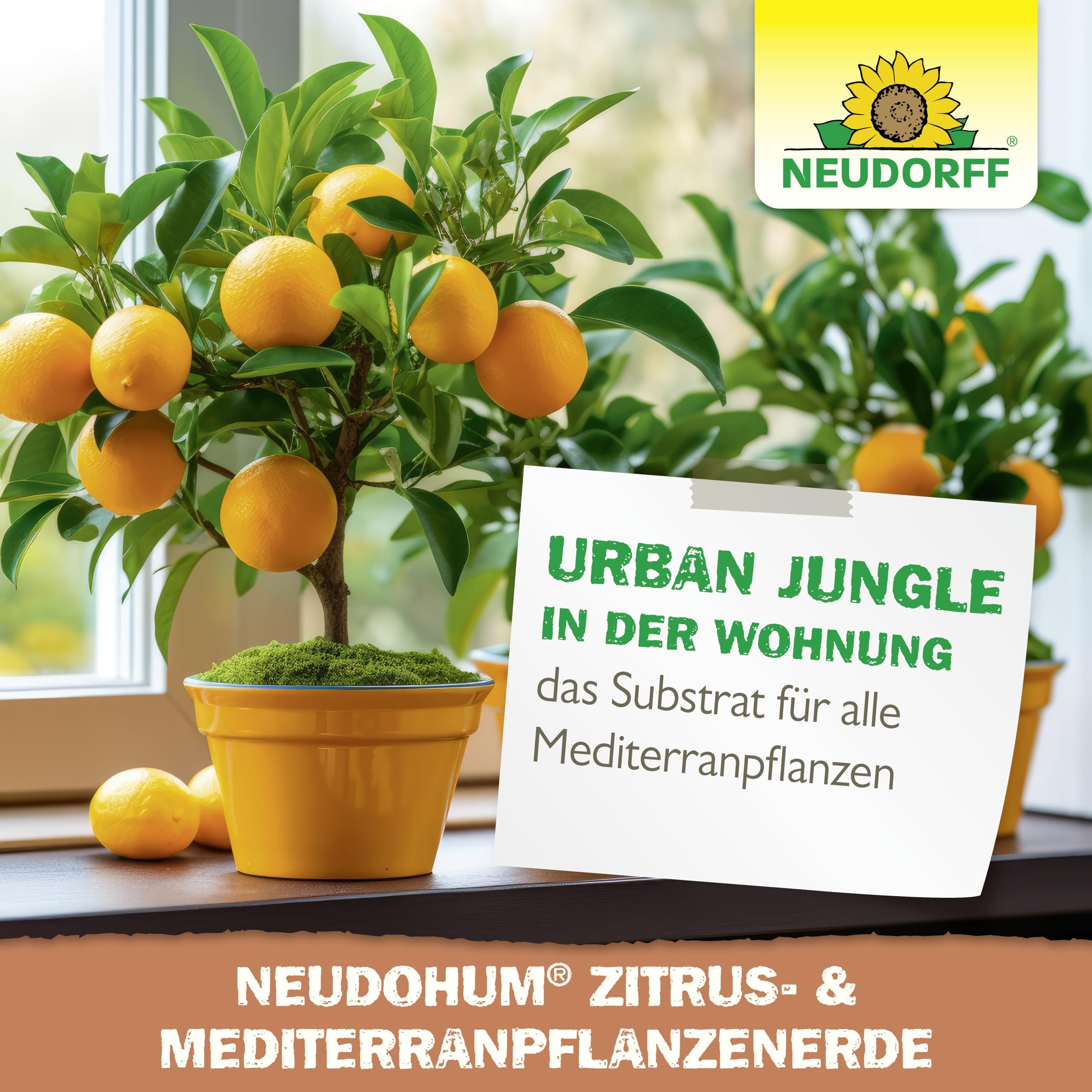 neudorff-neudohum-zitrus-mediterranpflanzenerde-20l-torffrei image 7