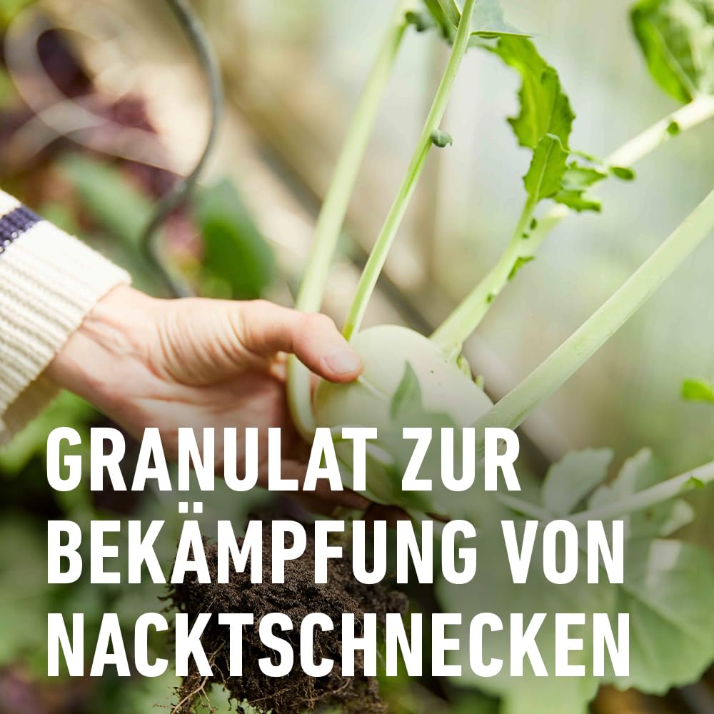 compo-schneckenkorn-streugranulat-1-1-kg-regenfest-gegen-nacktschnecken image 4