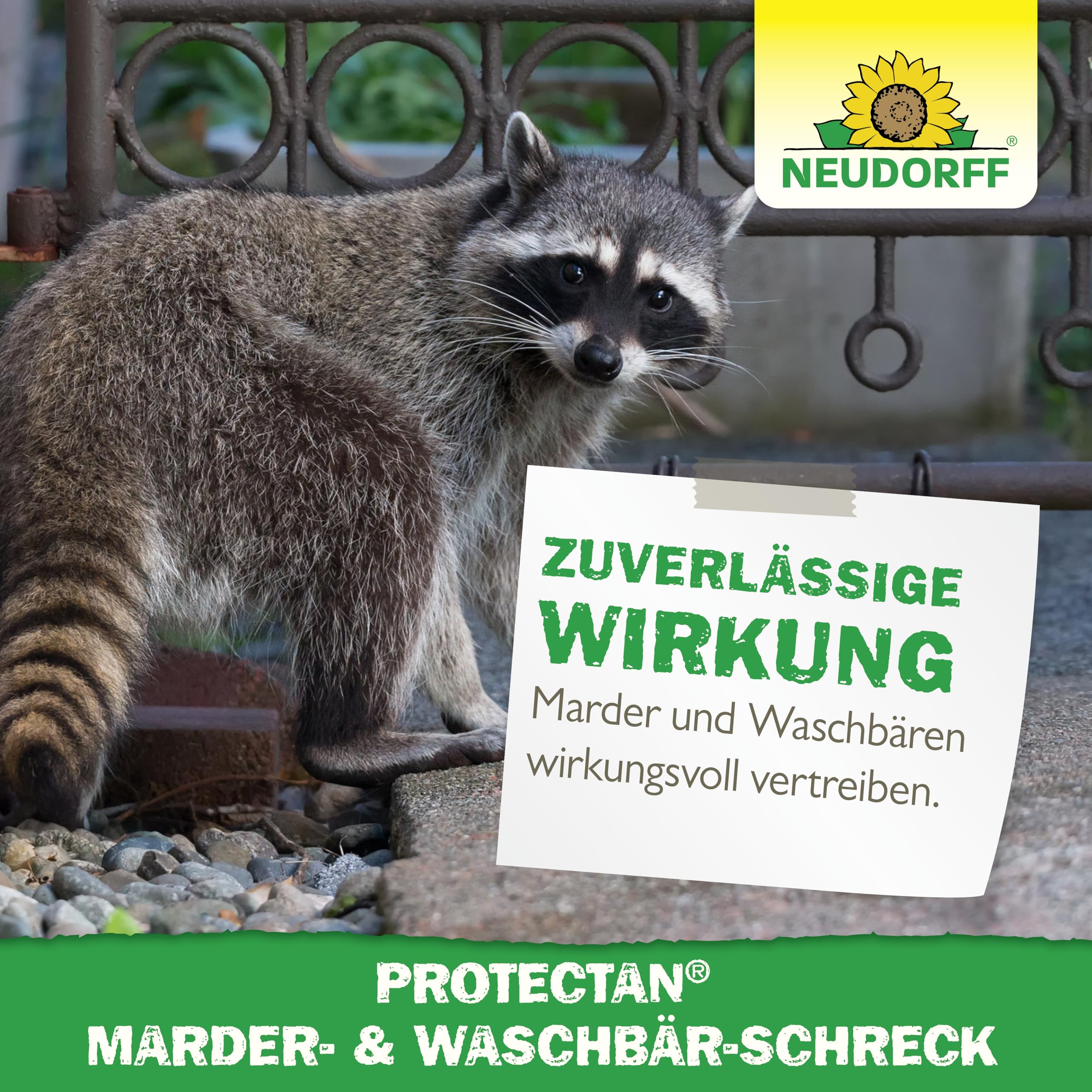 neudorff-protectan-marder-waschb-r-schreck-300-g-f-r-150-m image 6