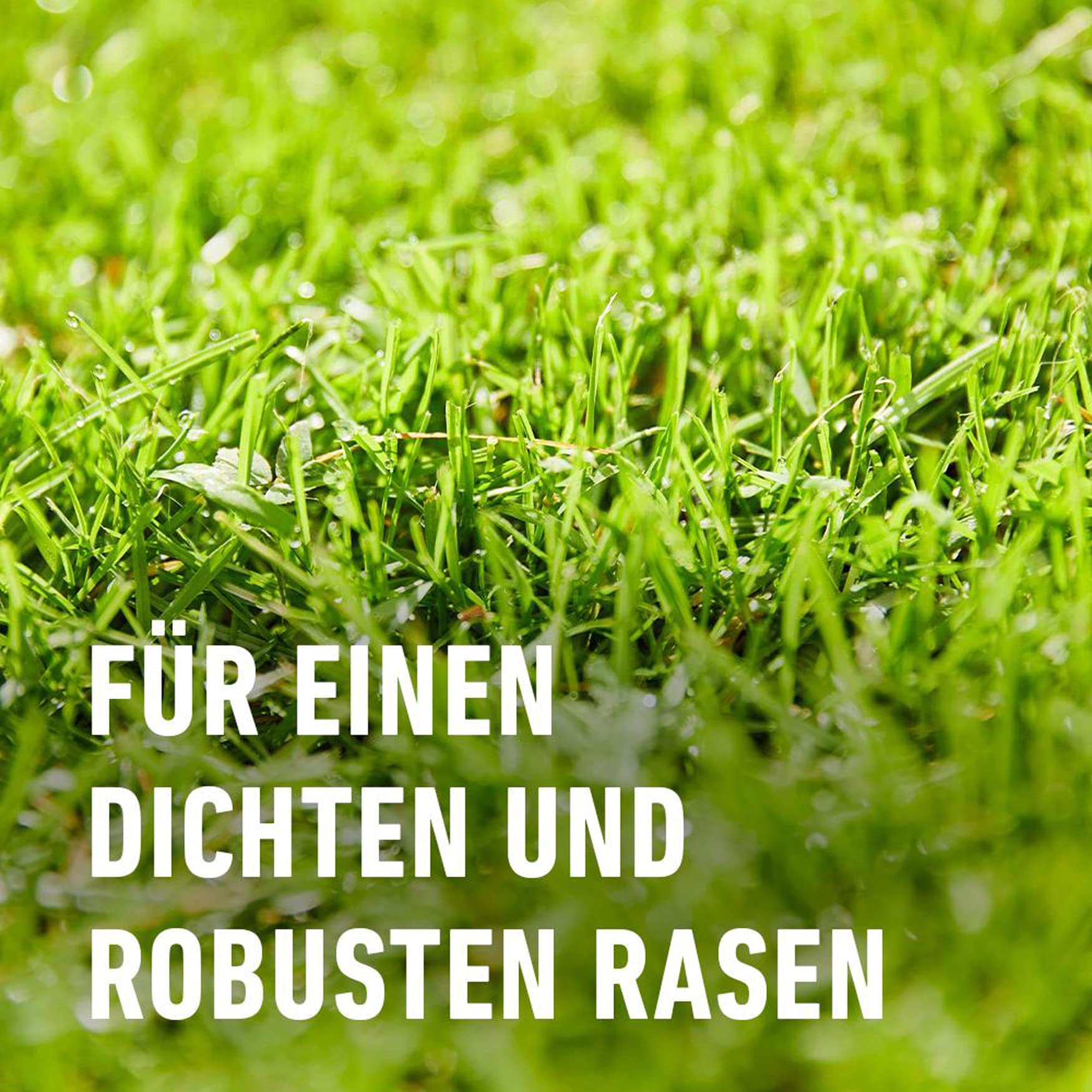 compo-saat-rasen-reparatur-komplett-mix-4-kg-f-r-bis-zu-20-m image 6