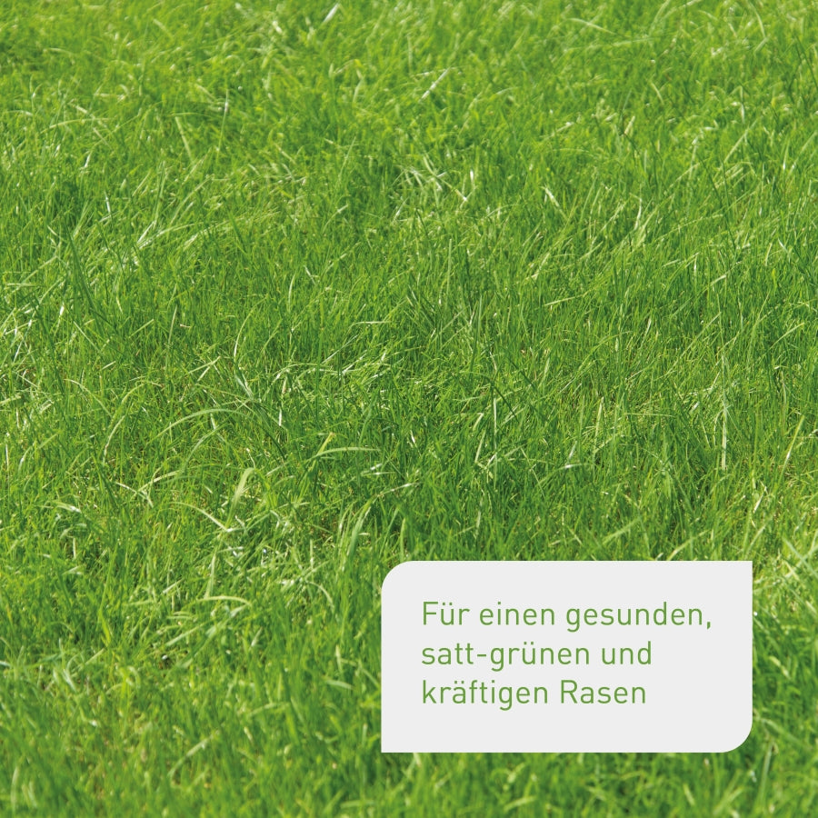 plantura-bio-rasend-nger-10-5-kg-granulat-papierverpackung image 2