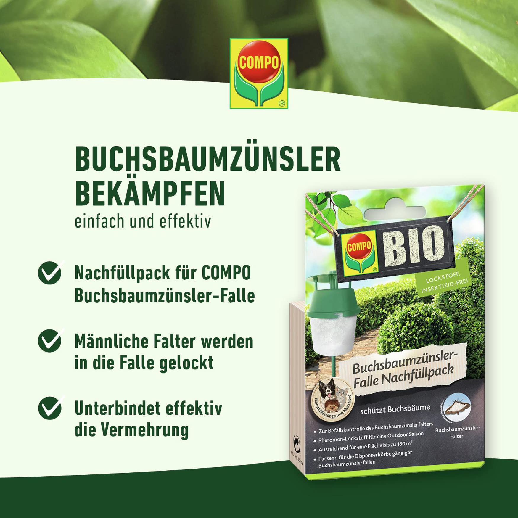compo-buchsbaumz-nsler-falle-nachf-llpack-3-st-ck-22078 image 2