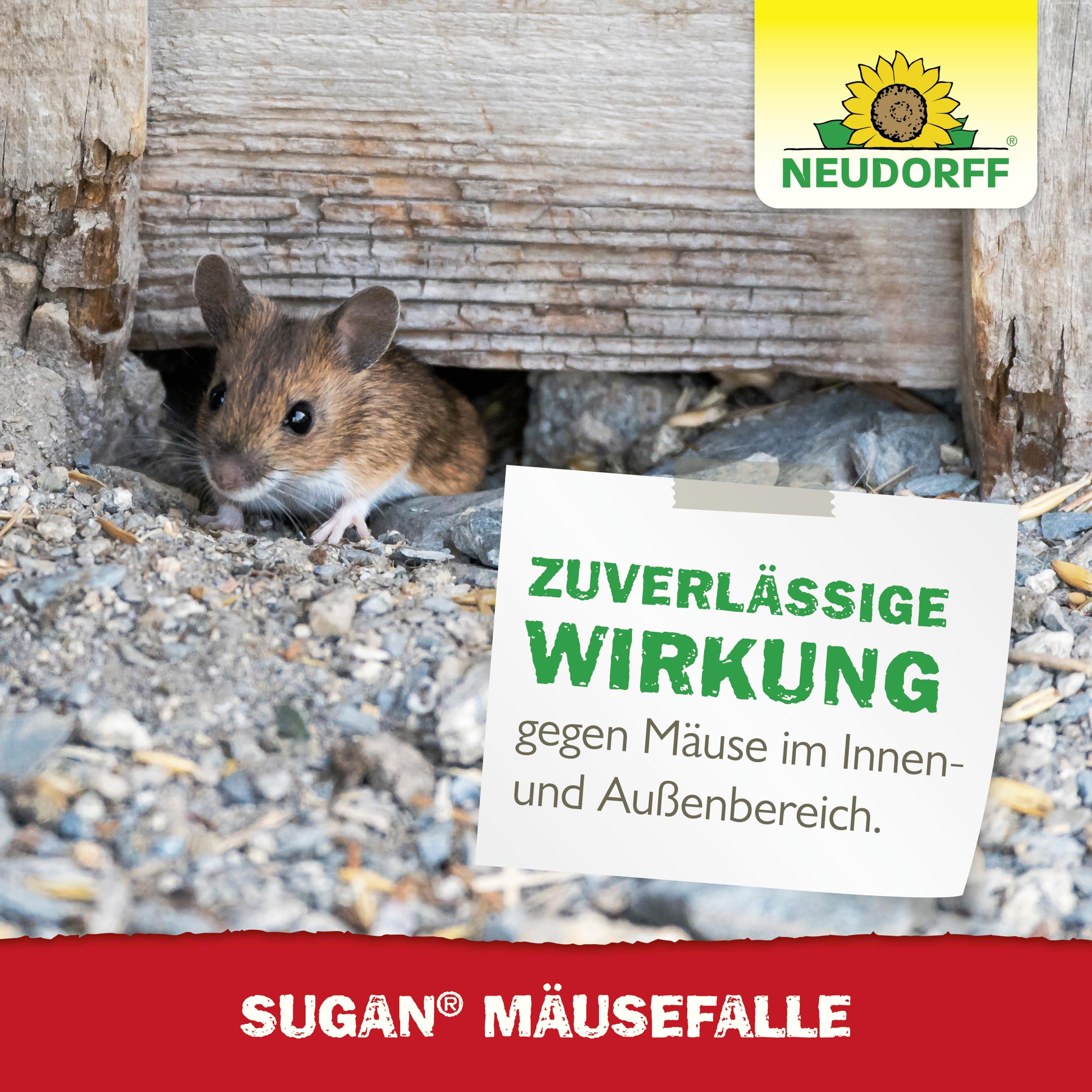 neudorff-sugan-m-usefalle-wiederverwendbar-schlagfalle-giftfrei-f-r-innen-und-au image 7