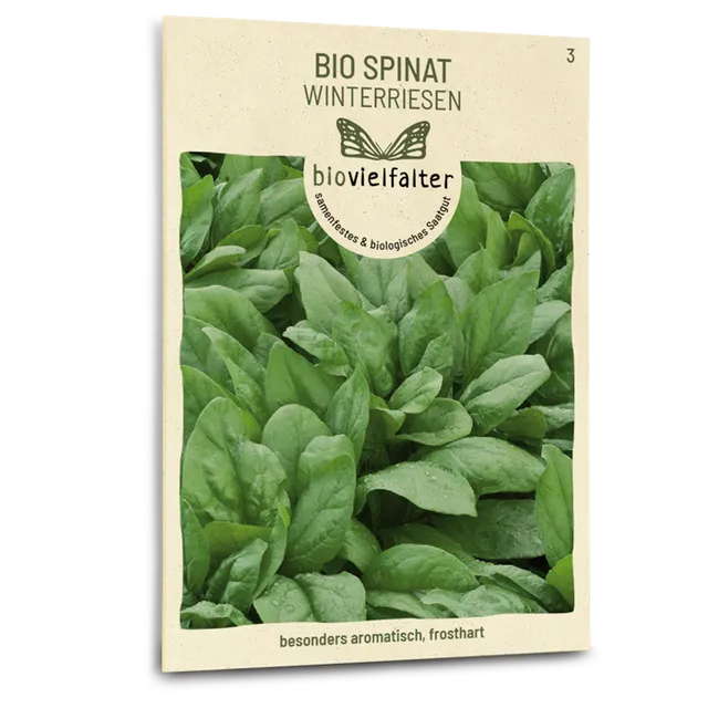 plantura-bio-spinat-winterriesen-bio-saatgut-blattspinat image 1