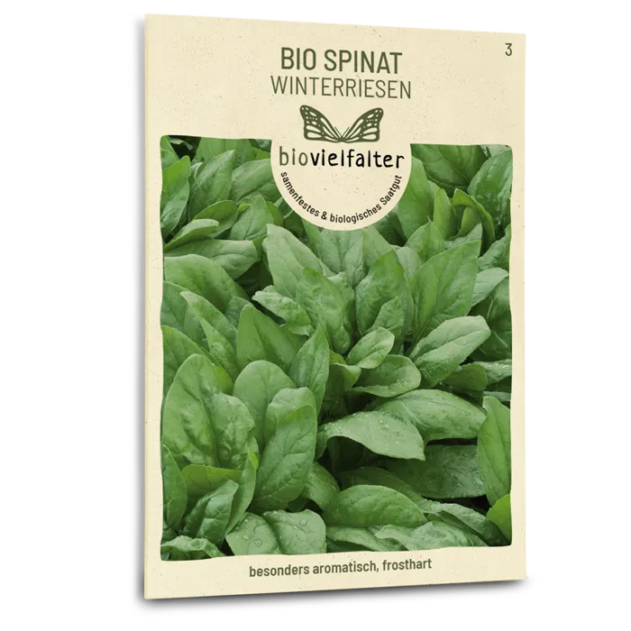 plantura-bio-spinat-winterriesen-bio-saatgut-blattspinat image 1