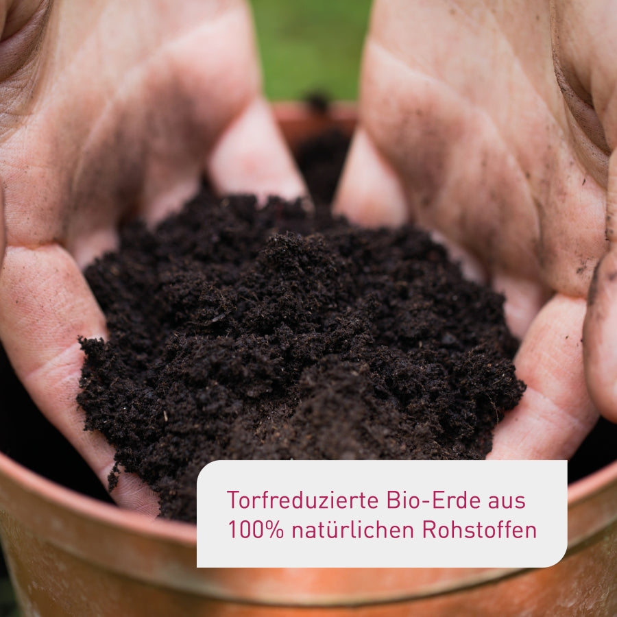 plantura-bio-saure-erde-40-l-moorbeeterde-ph-4-6-5-4 image 4