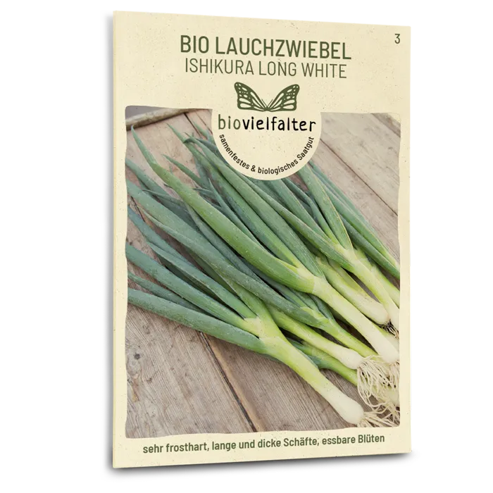plantura-bio-lauchzwiebel-ishikura-long-white-bio-gem-sesaatgut image 1