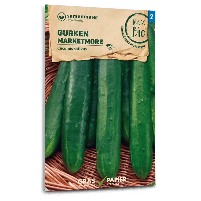 plantura-bio-gurke-marketmore-saatgut image 1