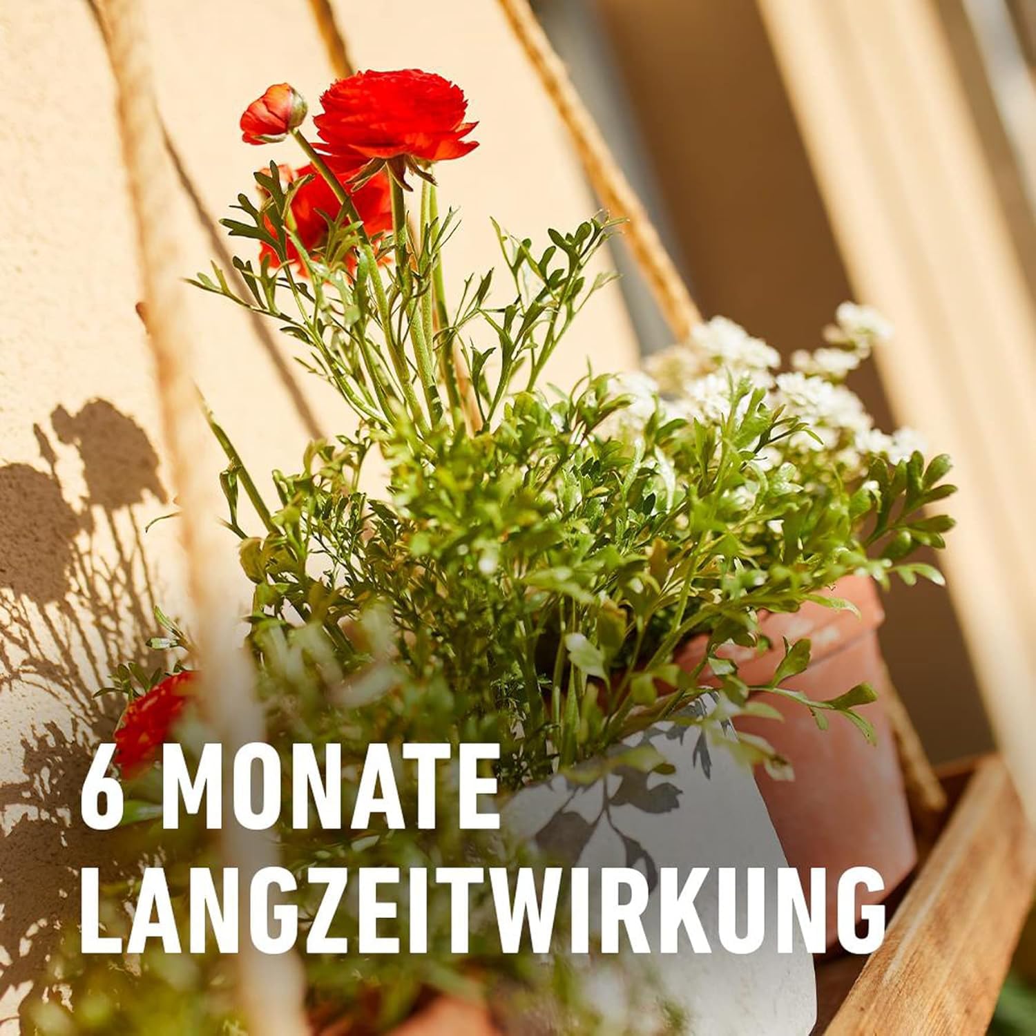 compo-balkon-und-k-belpflanzend-nger-1-2-kg-langzeit-6-monate image 5