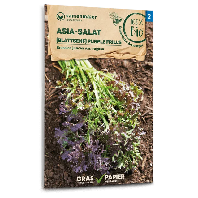 plantura-bio-asia-salat-purple-frills-bio-saatgut image 1