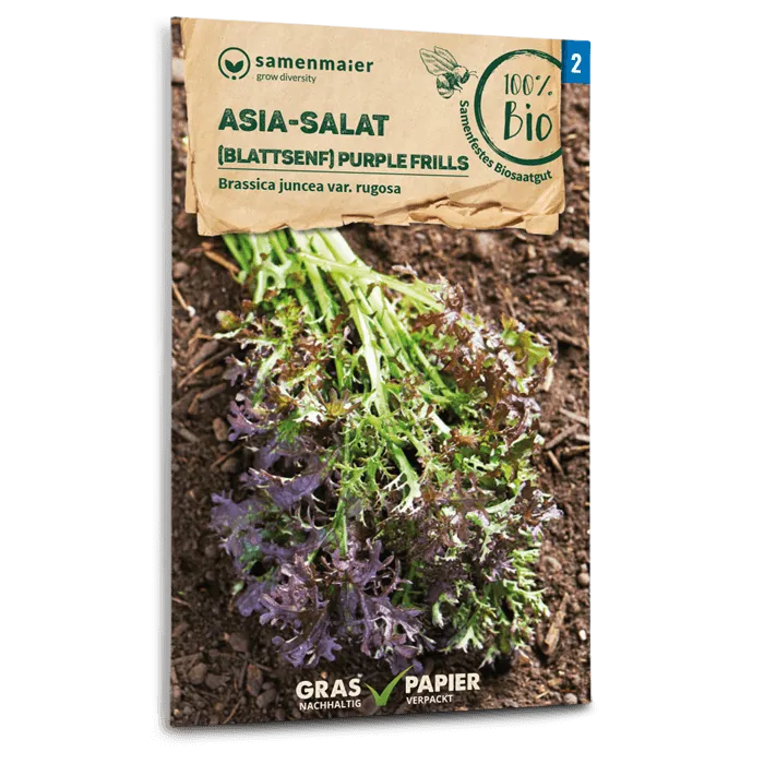 plantura-bio-asia-salat-purple-frills-bio-saatgut image 1