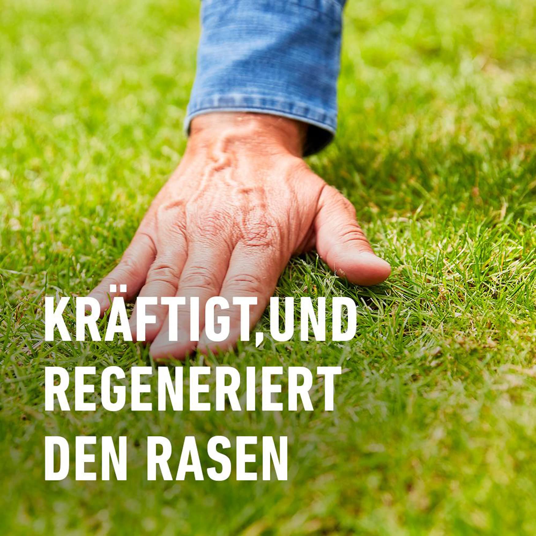 compo-rasend-nger-unkraut-und-moos-nein-danke-fl-ssig-1-3-l-f-r-130-m image 6