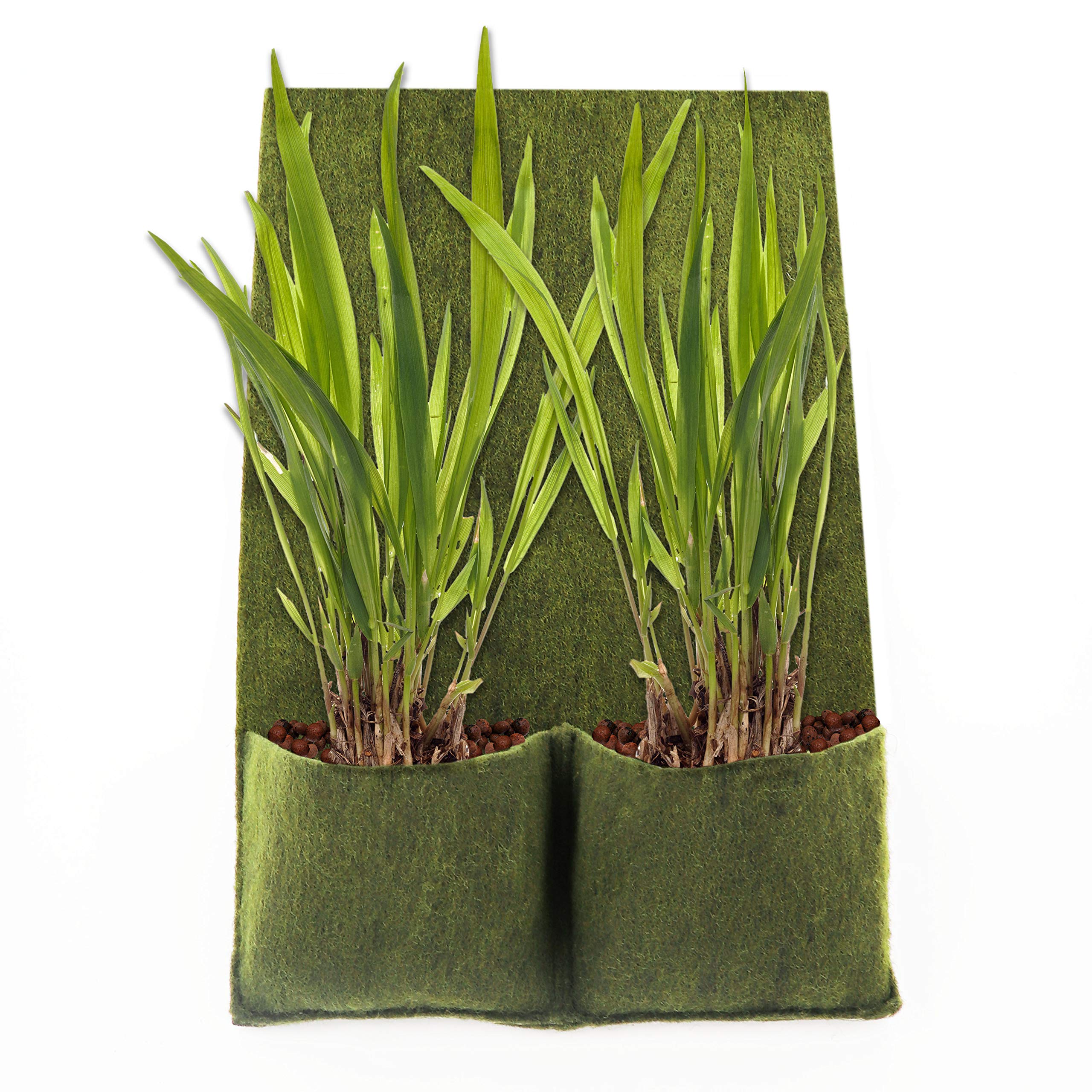 aquagart-pflanztaschen-7-st-ck-100x60-cm-mit-2-taschen-teich-ufermatte-b-schungs image 2