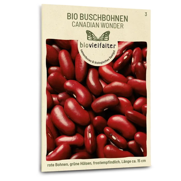 plantura-bio-buschbohne-canadian-wonder-bio-saatgut image 1